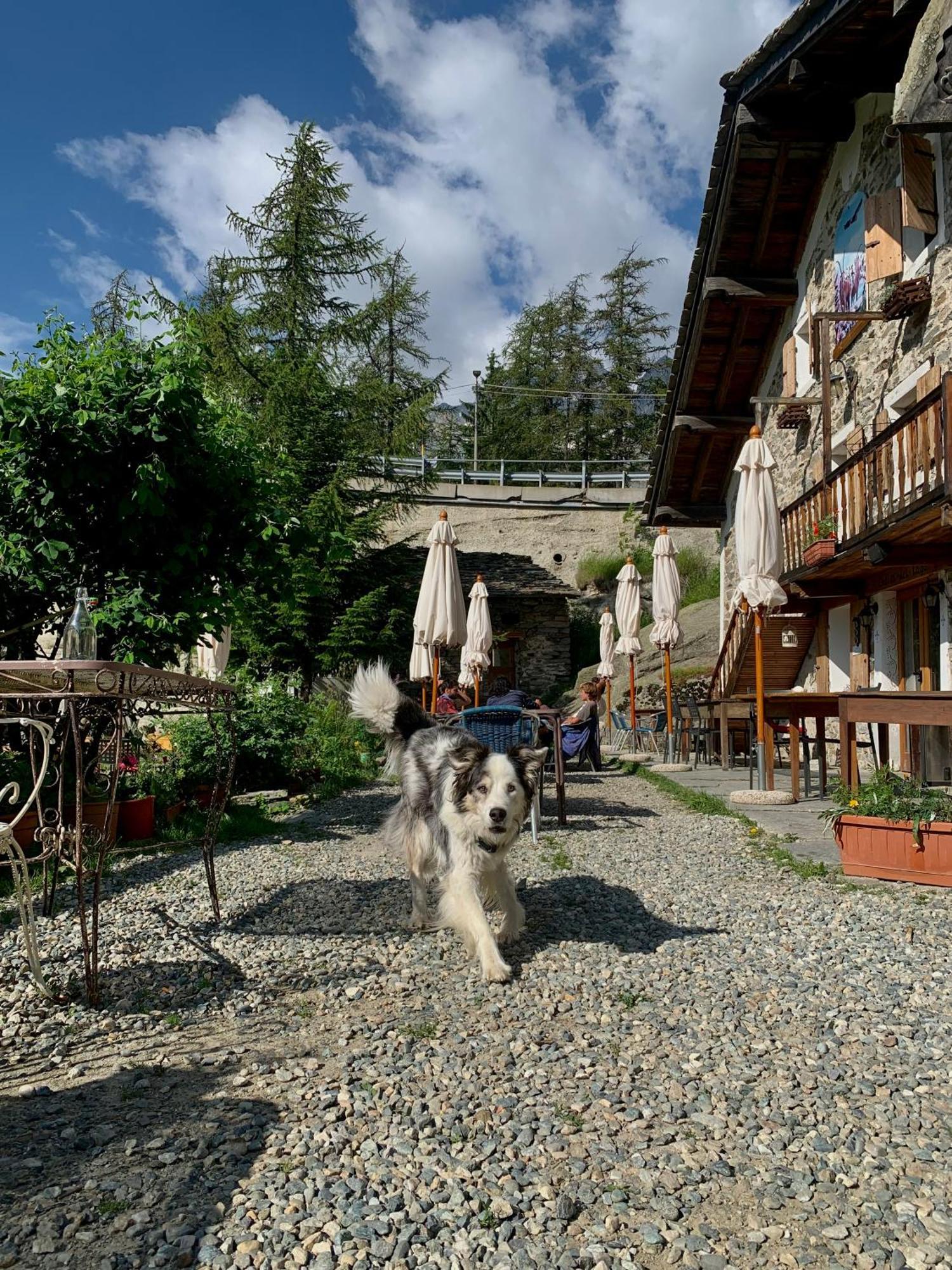Chalet Del Lago Ceresole Reale Exterior photo