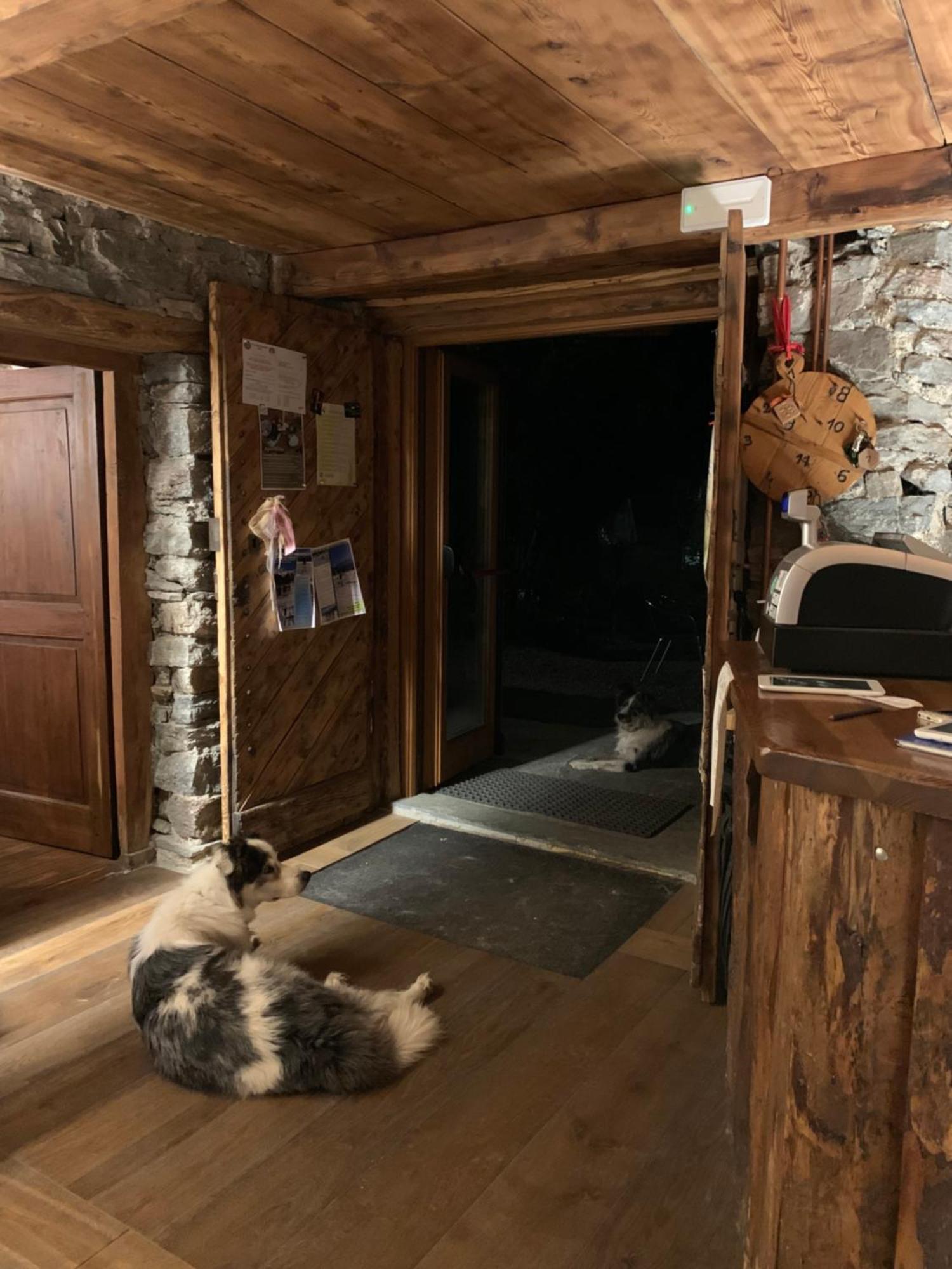 Chalet Del Lago Ceresole Reale Exterior photo